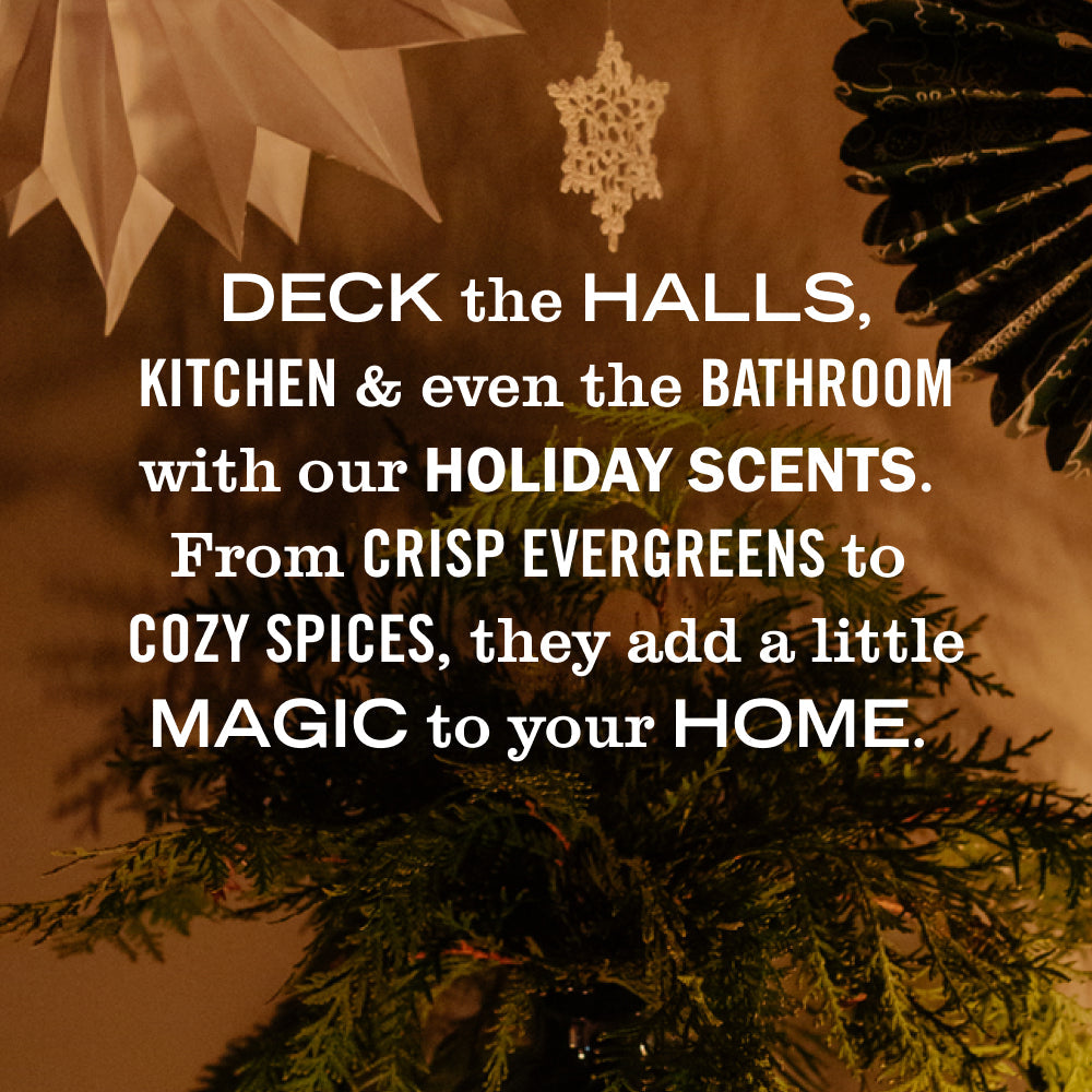 Holiday Seasonal Multi-Surface Everyday Cleaner Collection - Home Care
