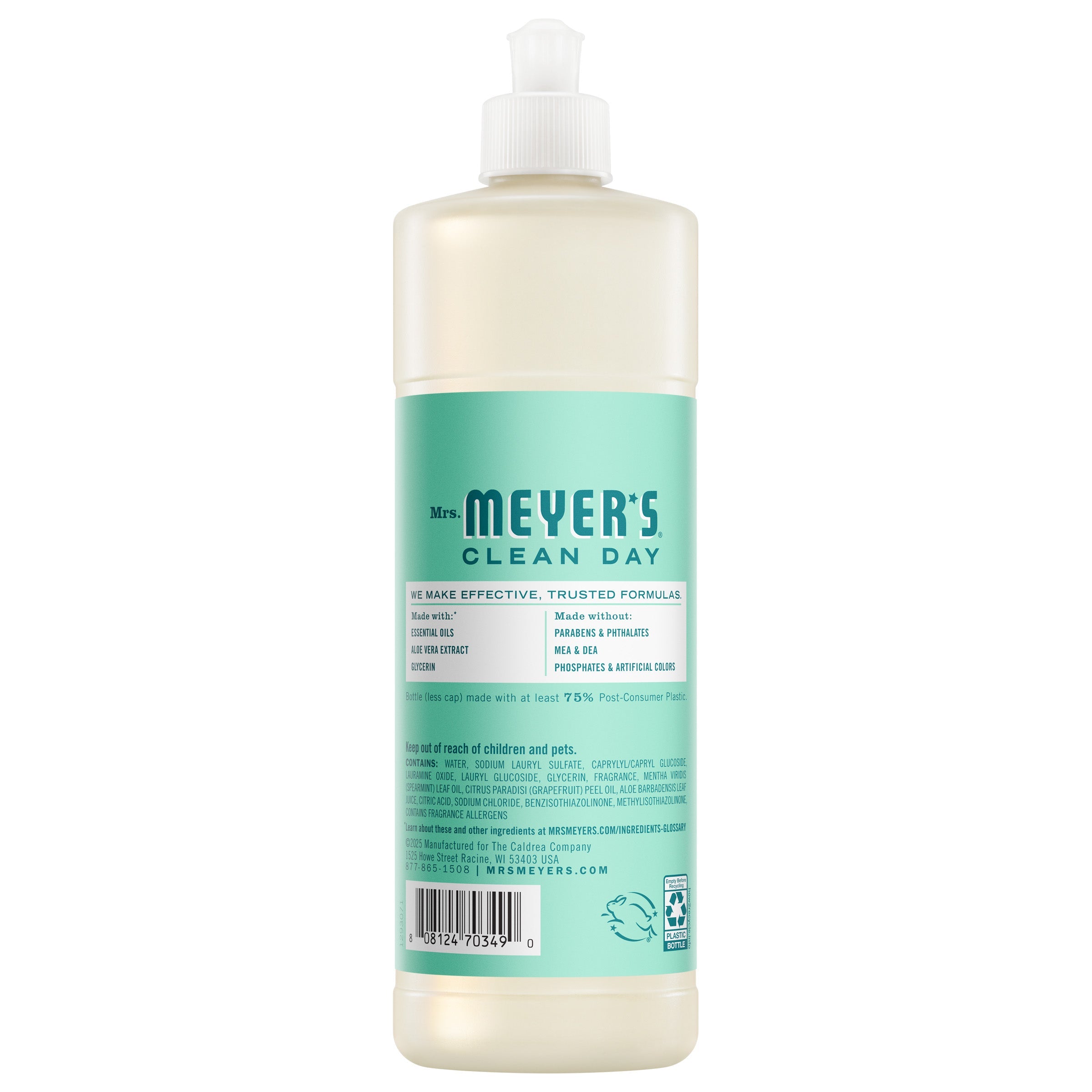 Mint Dish Soap - Dishwashing Essential