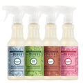 Holiday Seasonal Multi-Surface Everyday Cleaner Collection