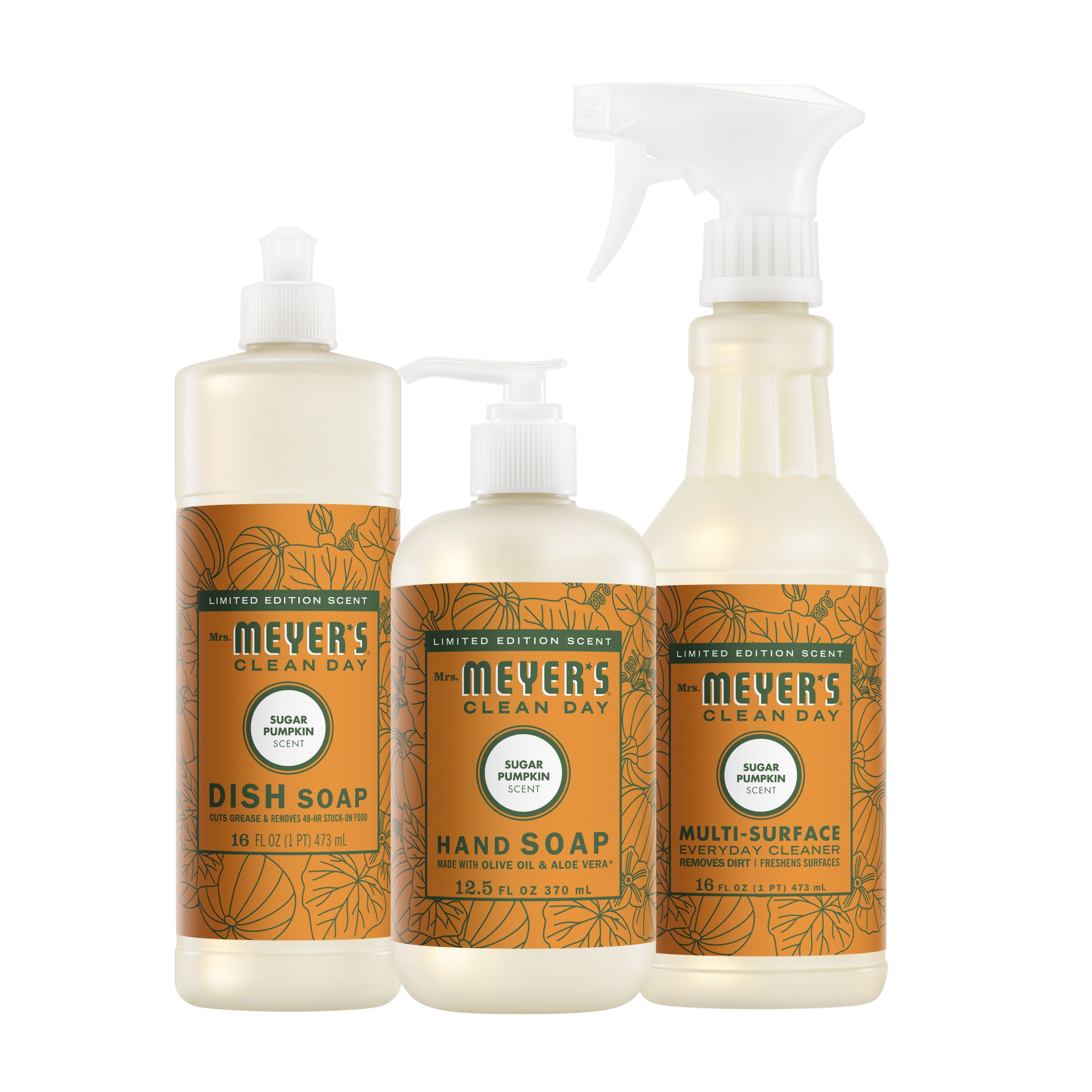 Sugar Pumpkin Kitchen Basics Set - Garden Fresh