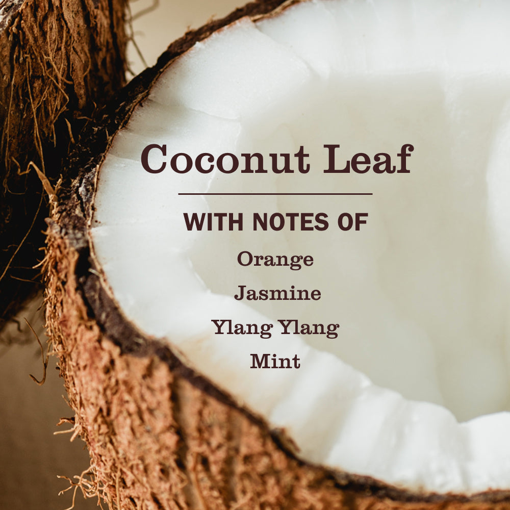 Coconut Leaf Pet Stain & Odor Fighter