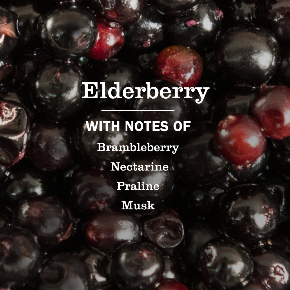 Elderberry Plug In Scented Oil Warmer With Refill