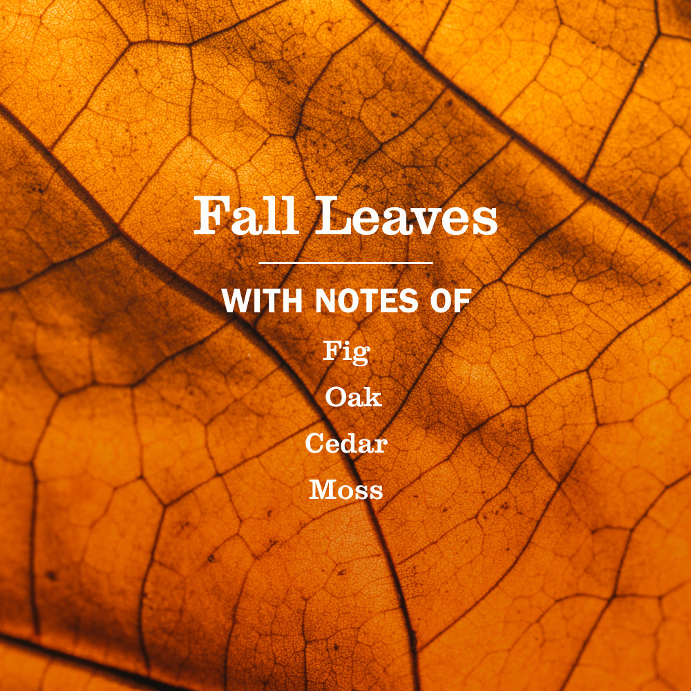 Fall Leaves Plug In Scented Oil Warmer With Refill