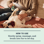 Sweet Chamomile Dog Deodorizing Spritz