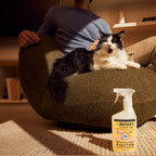 Orange Blossom Pet Stain & Odor Fighter