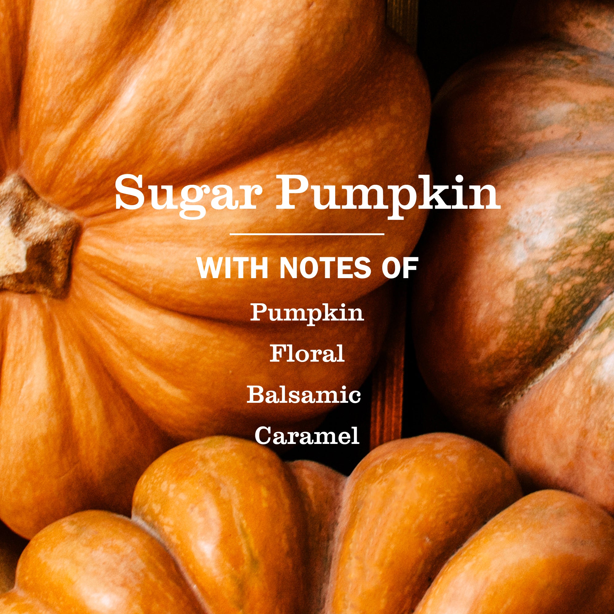 Sugar Pumpkin Plug In Scented Oil Warmer With Refill - Aromatic Home