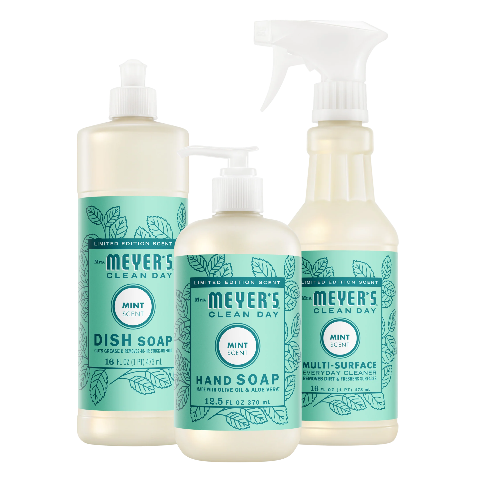 Mint Kitchen Basics Set - Garden Fresh