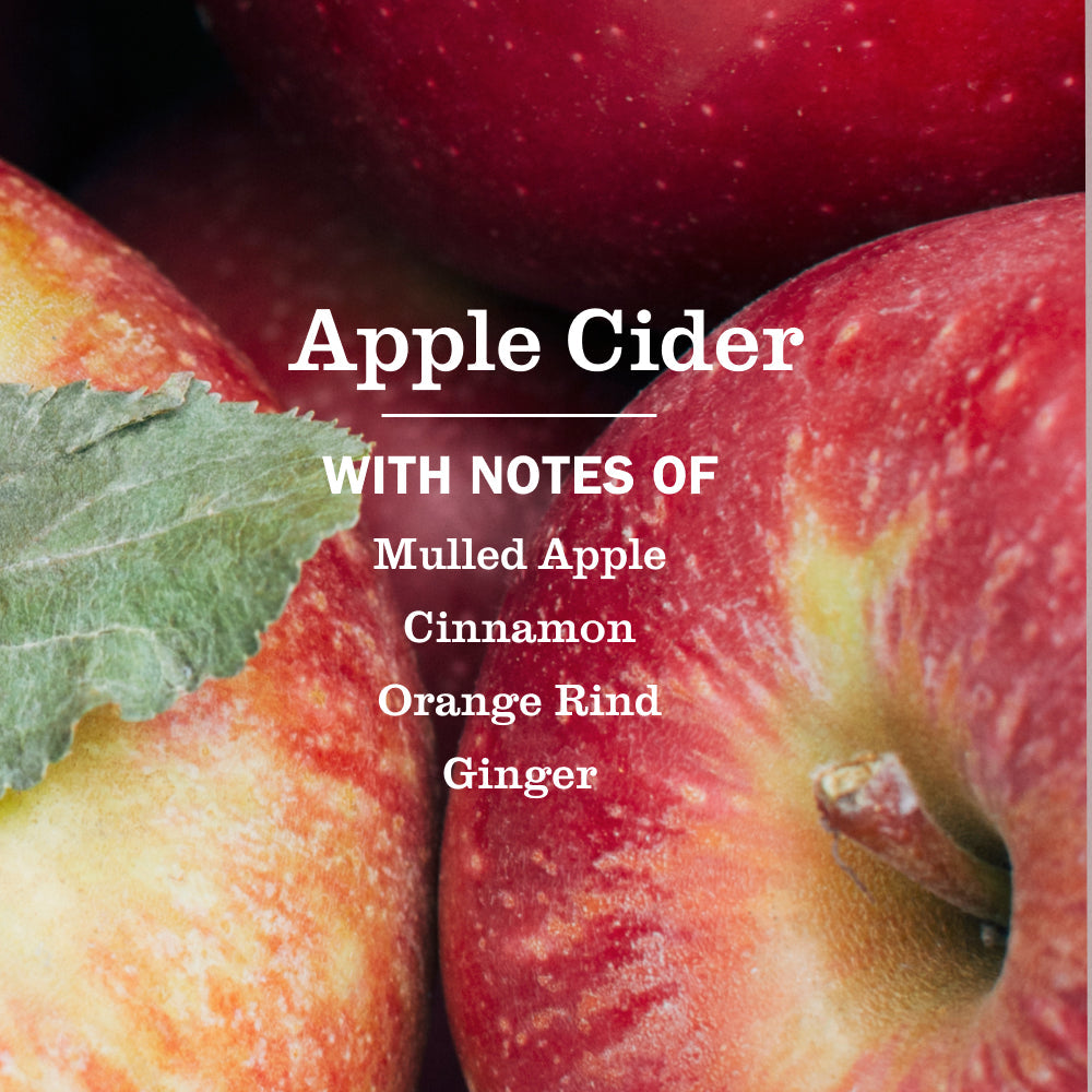 Apple Cider Liquid Hand Soap