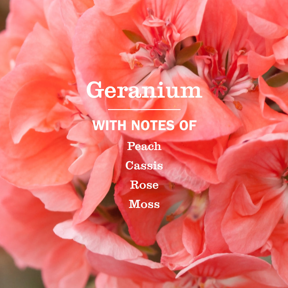 Geranium Kitchen Basics Set