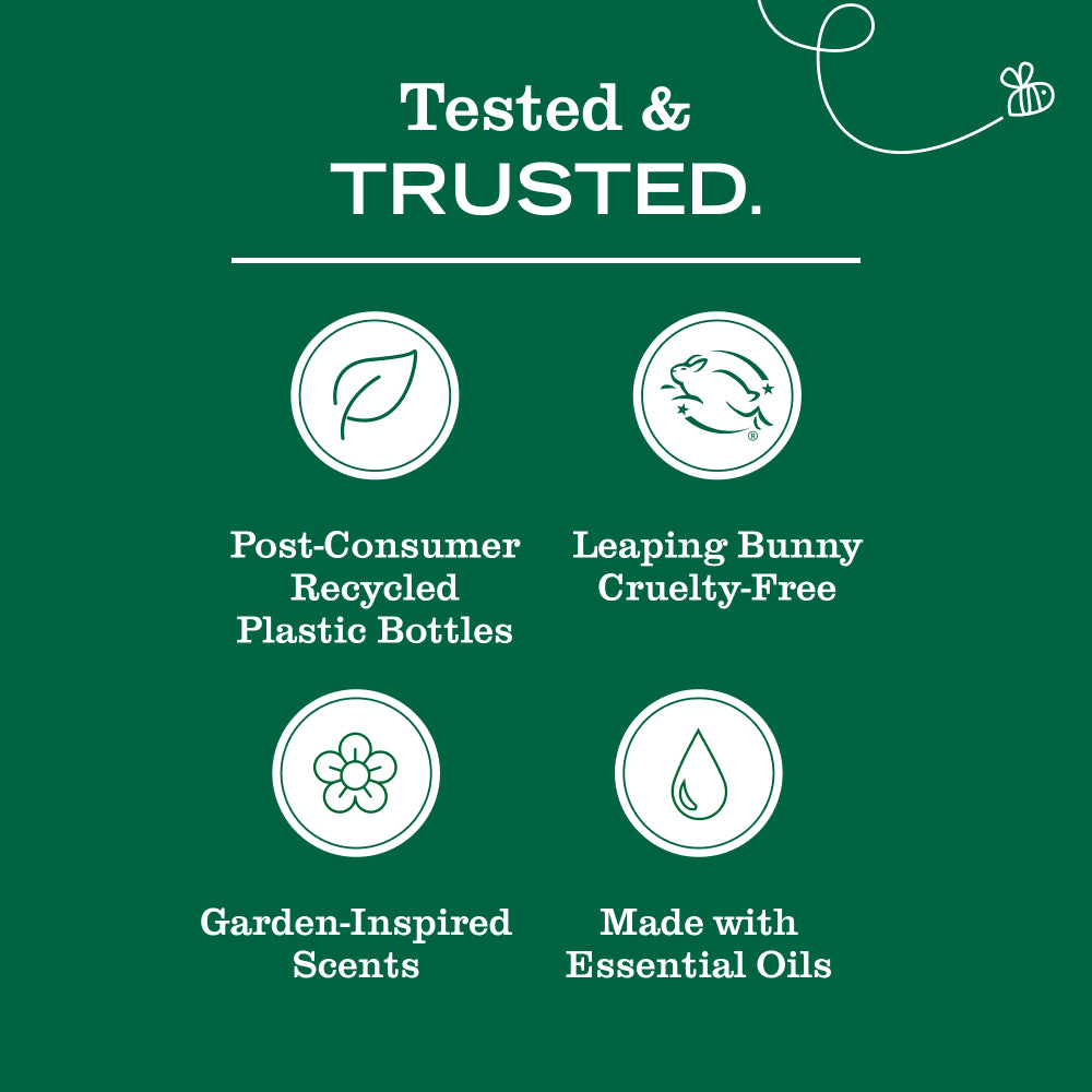Elderberry Multi-Surface Everyday Cleaner