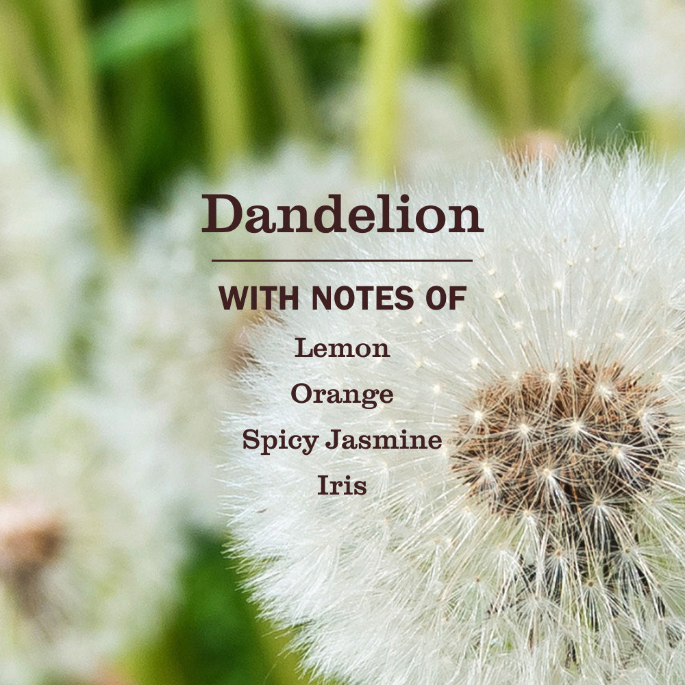 Dandelion Liquid Dish Soap