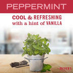 Peppermint Soy Candle Large