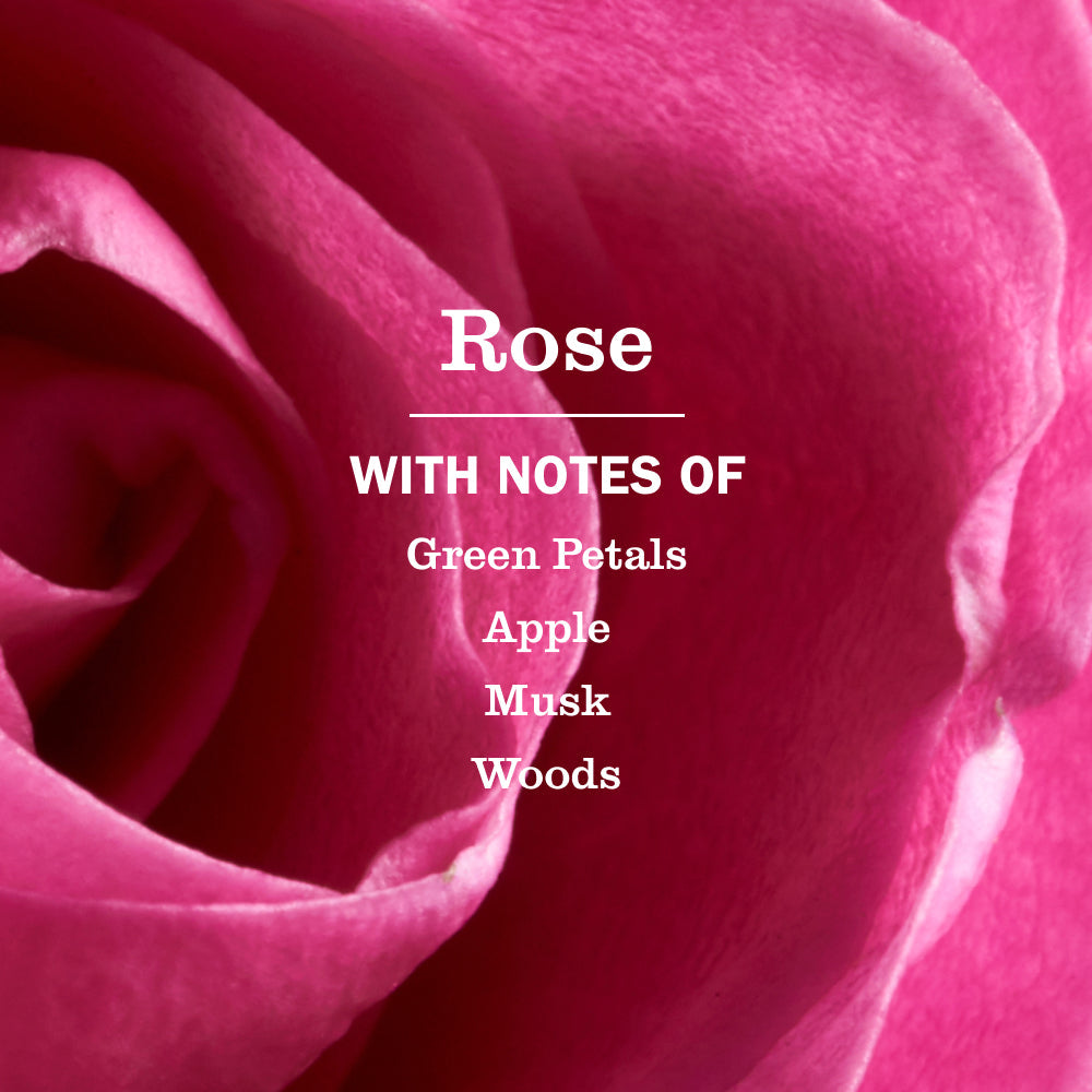 Rose Kitchen Basics Set
