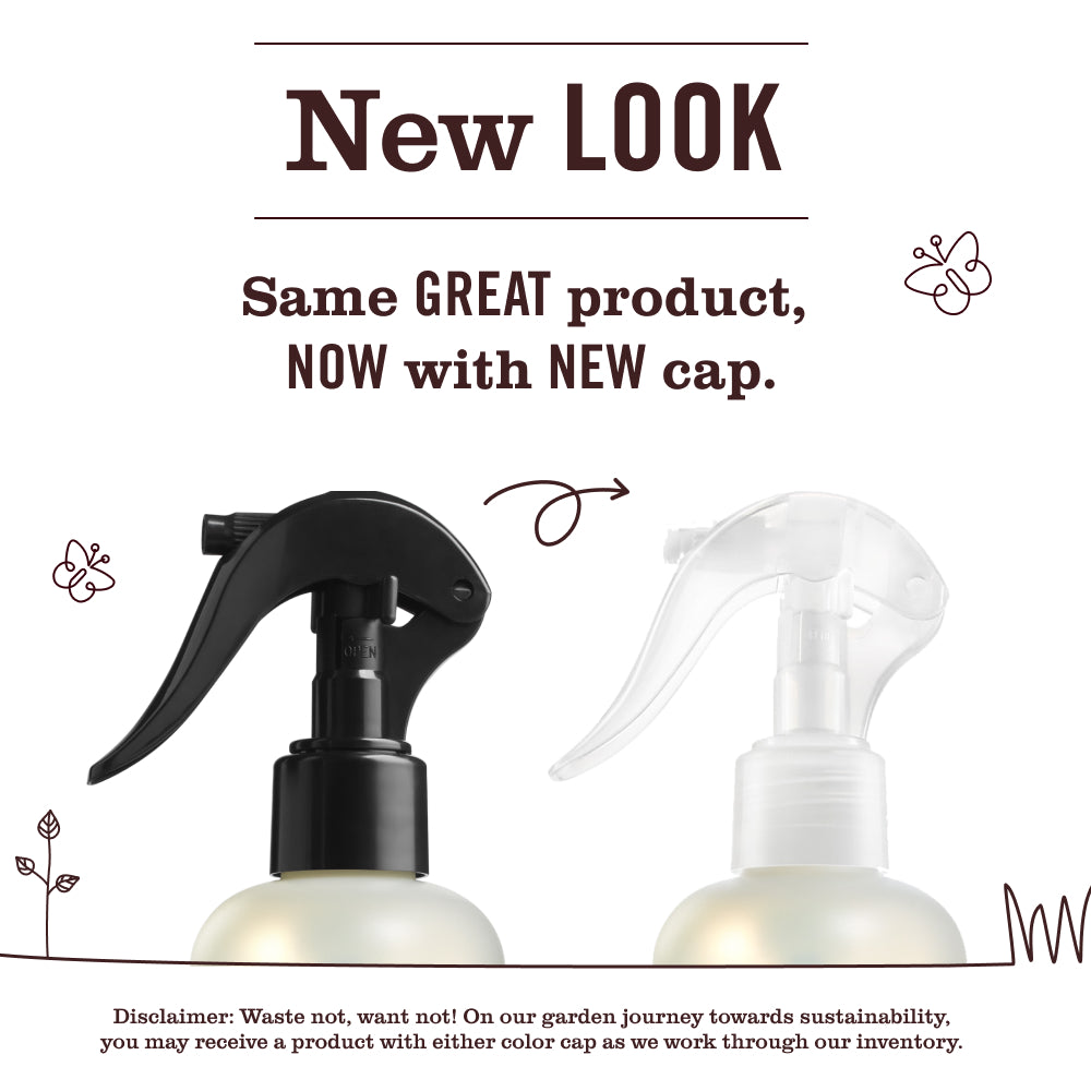 Rain Water Room Freshener