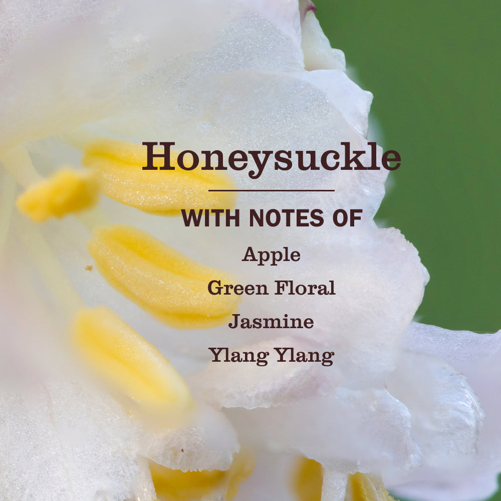 Honeysuckle Dryer Sheets