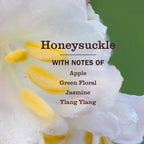 Honeysuckle Kitchen Basics Set