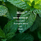 Mint Room Freshener
