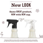 Acorn Spice Multi-Surface Everyday Cleaner