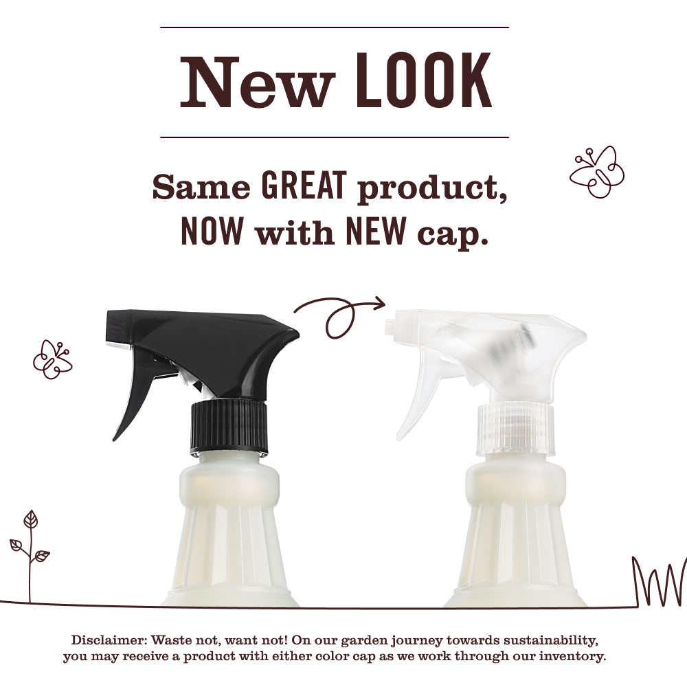 Lilac Multi-Surface Everyday Cleaner