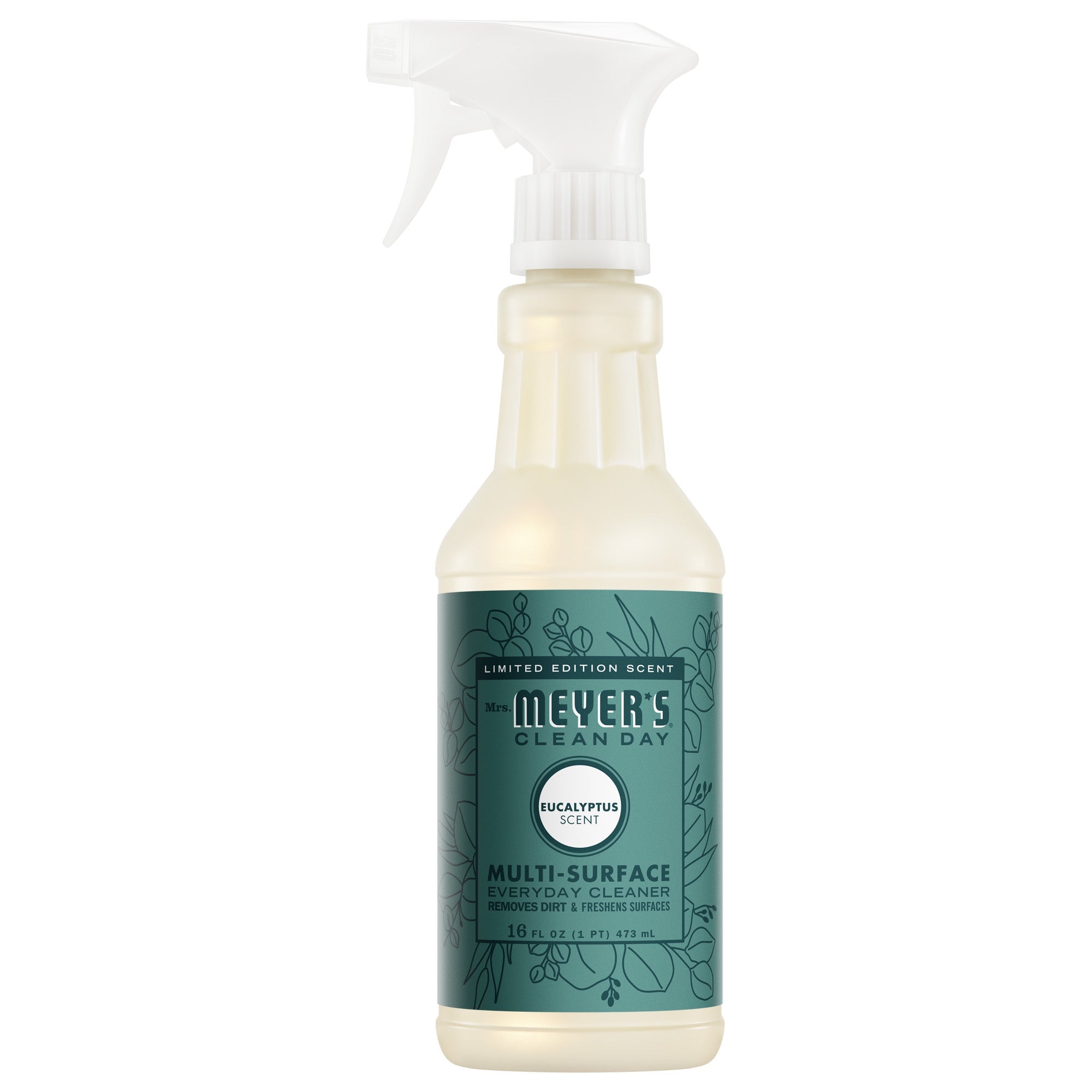 Eucalyptus Multi-Surface Everyday Cleaner - Home Care