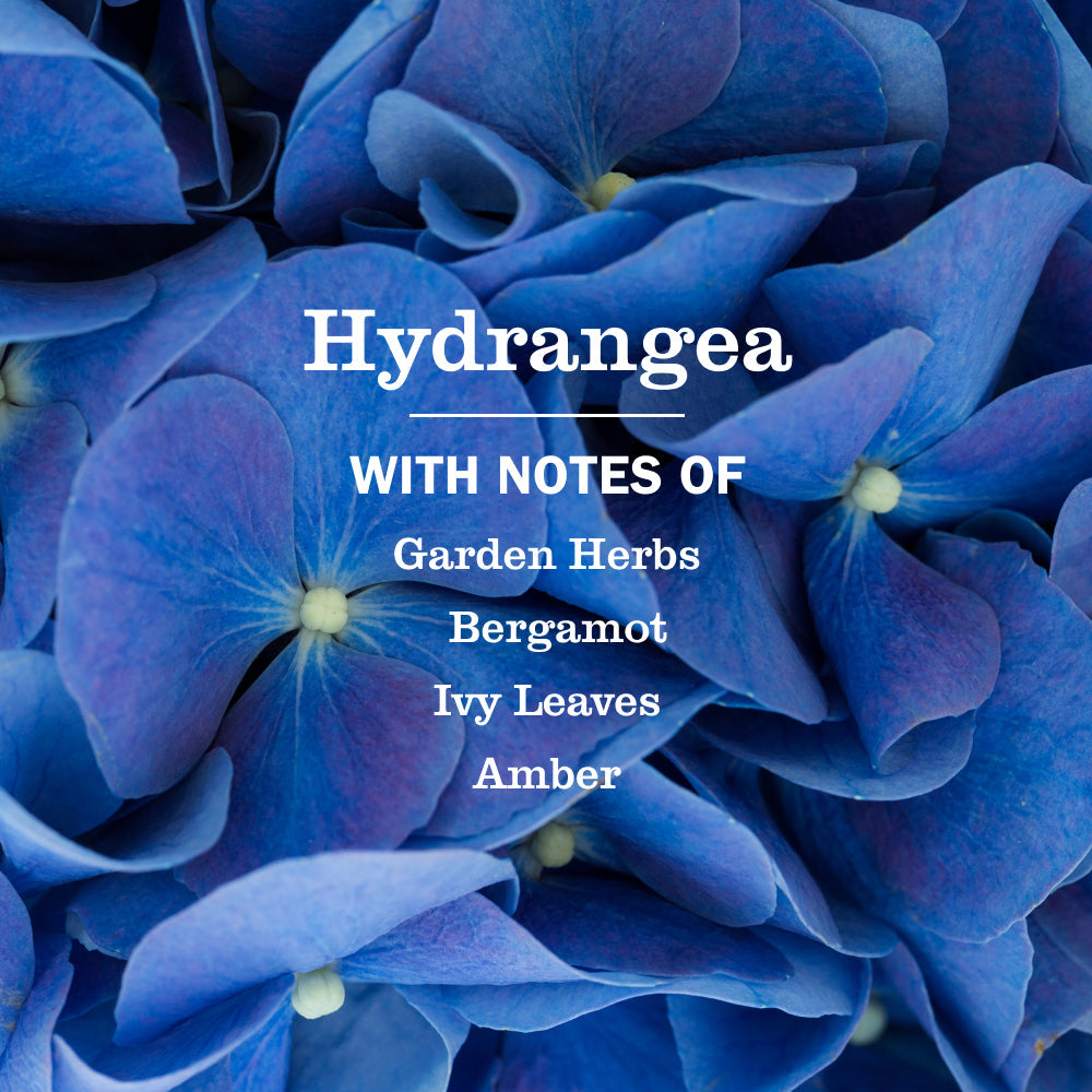 Hydrangea Liquid Hand Soap - Gentle Clean