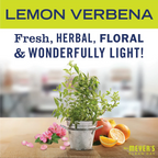 Lemon Verbena Vinegar Gel Cleaning Spray