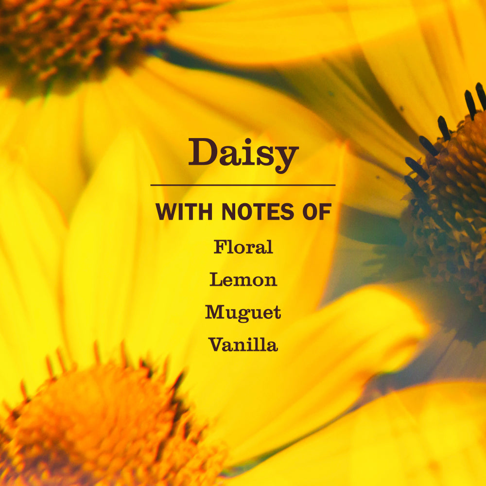 Daisy Multi-Surface Everyday Cleaner