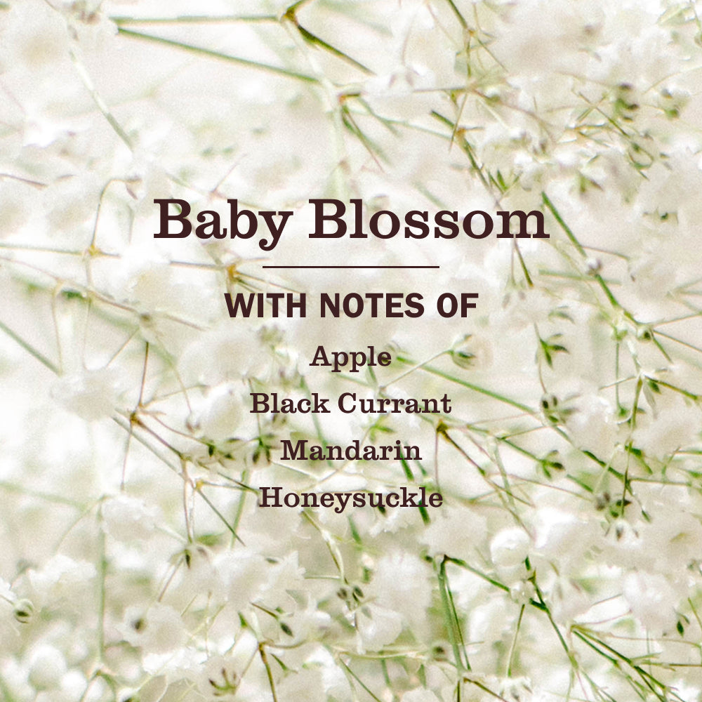 Baby Blossom Laundry Detergent - Daily Wash