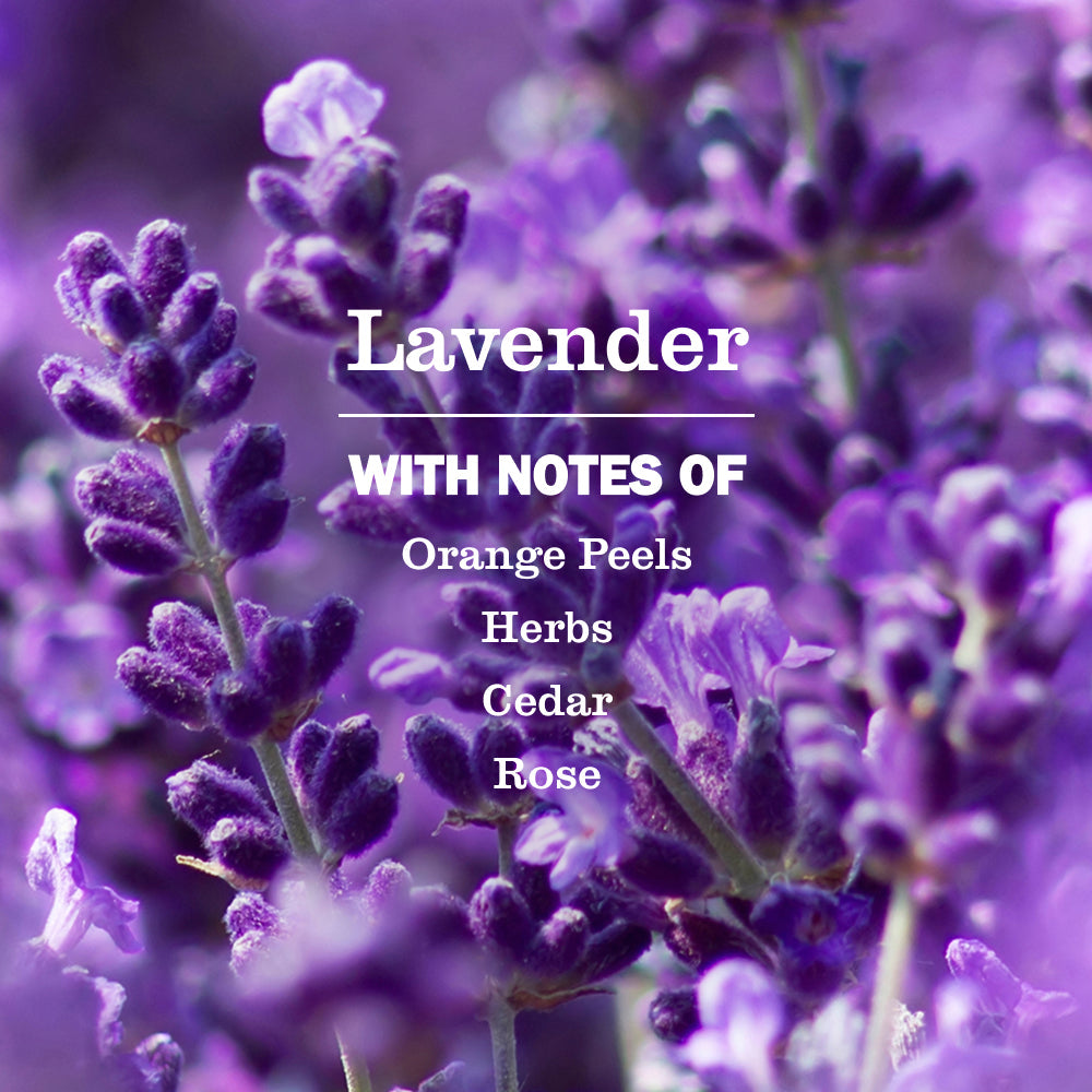 Lavender Multi-Surface Everyday Cleaner