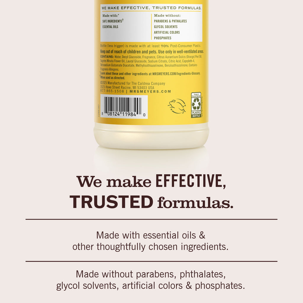 Dandelion Multi-Surface Everyday Cleaner 3-count Bundle
