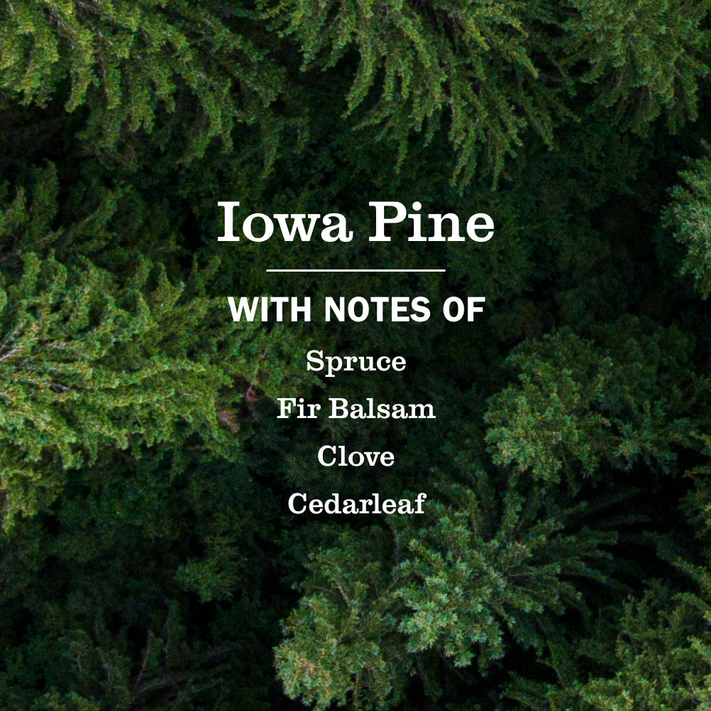Iowa Pine Soy Candle Large