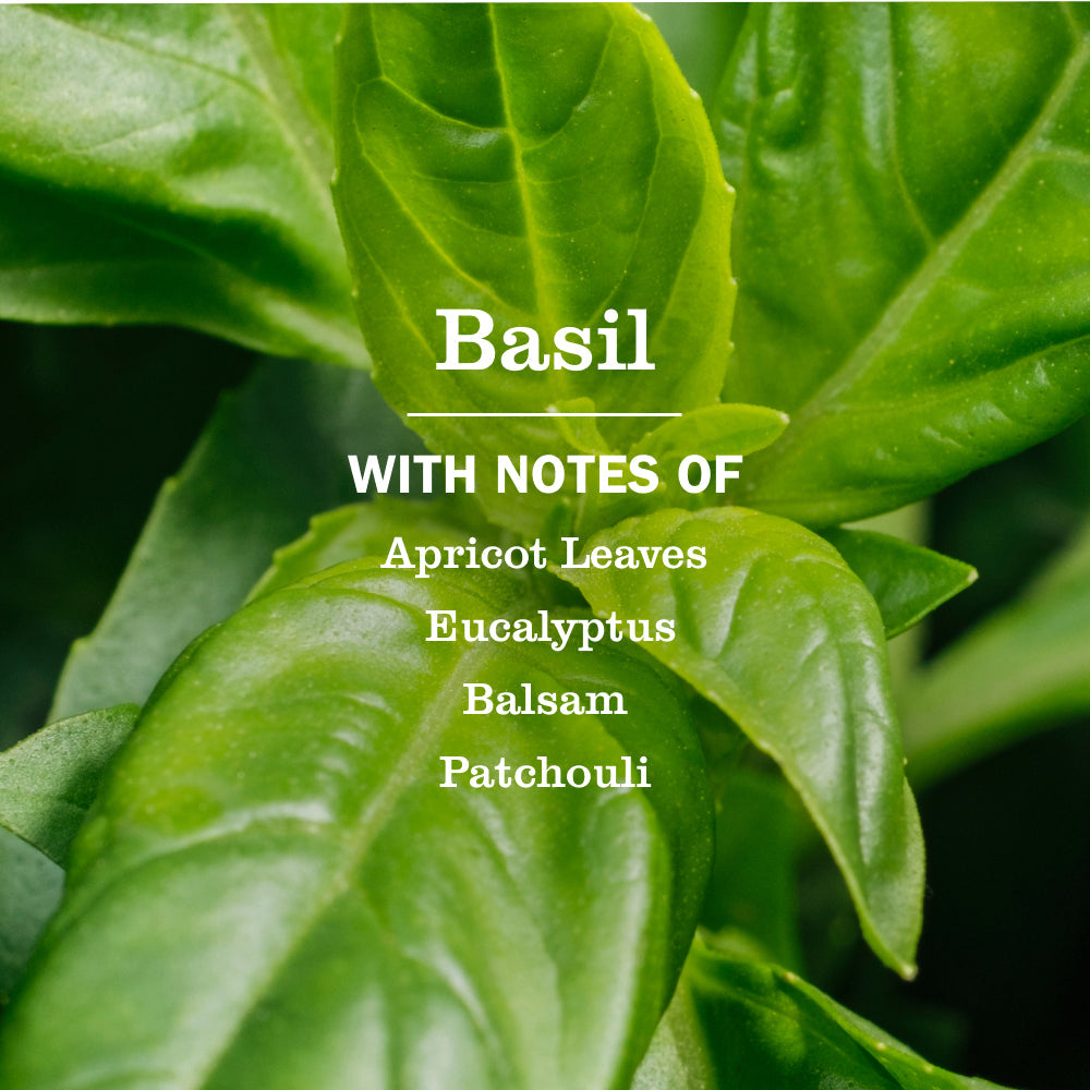 Basil Liquid Hand Soap Refill