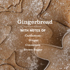 Gingerbread Dish Soap