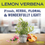 Lemon Verbena Baking Soda Cream Cleaner - 16 oz