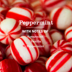 Peppermint Liquid Hand Soap