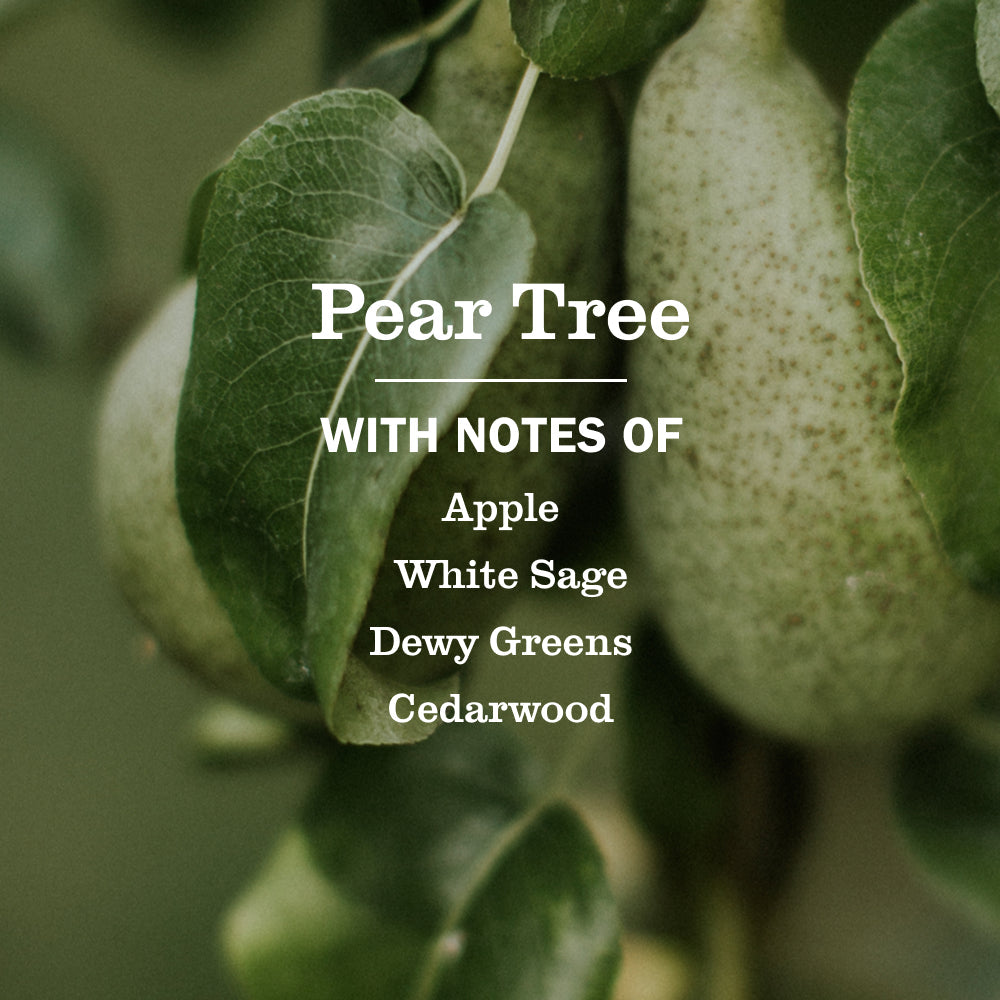 Pear Tree Liquid Hand Soap - Gentle Clean