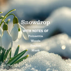 Snowdrop Multi-Surface Everyday Cleaner 3-count Bundle