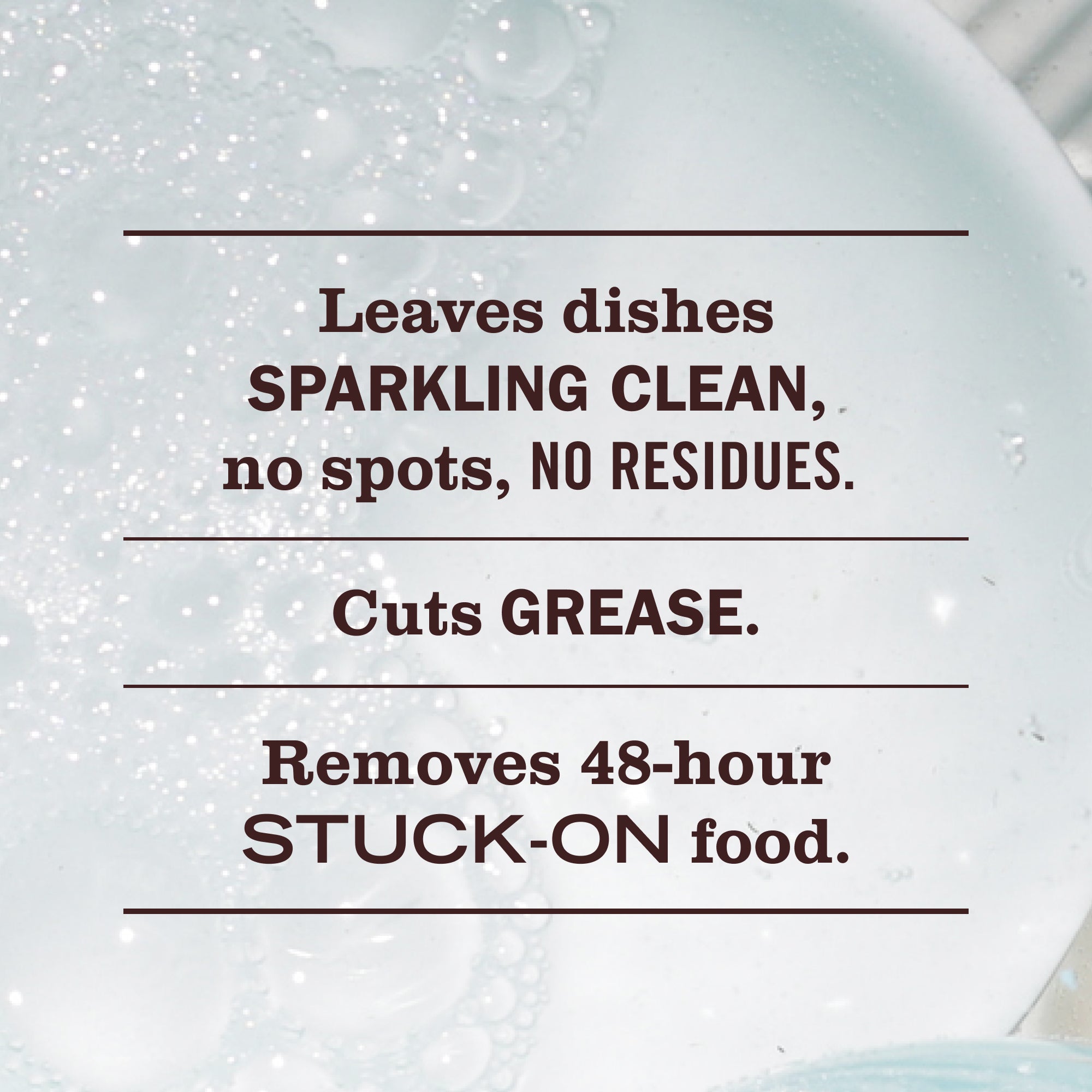 Iowa Pine Dish Soap