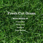 Fresh Cut Grass Room Freshener