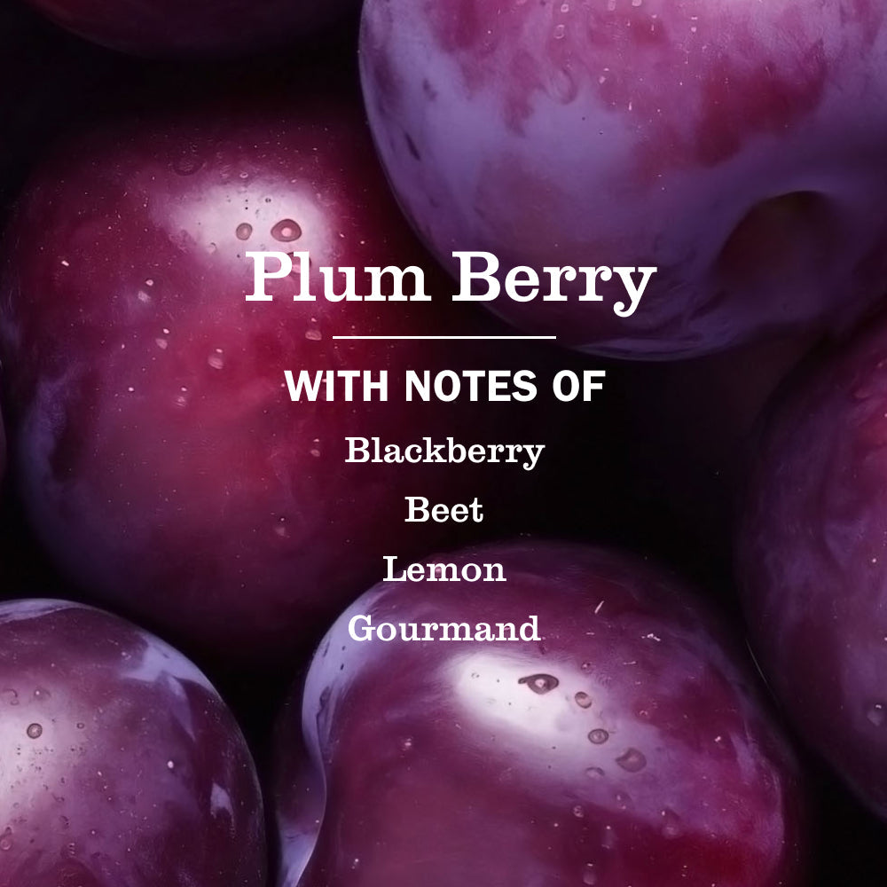 Plum Berry Liquid Hand Soap