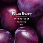 Plum Berry Liquid Hand Soap
