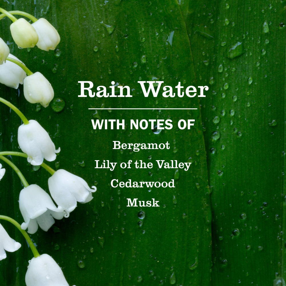 Rain Water Dish Soap