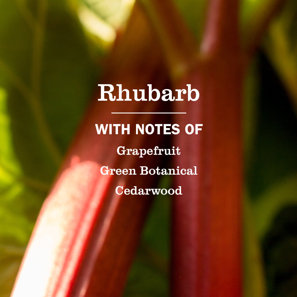 Rhubarb Liquid Hand Soap - Gentle Clean