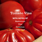Tomato Vine Liquid Hand Soap 3-count Bundle