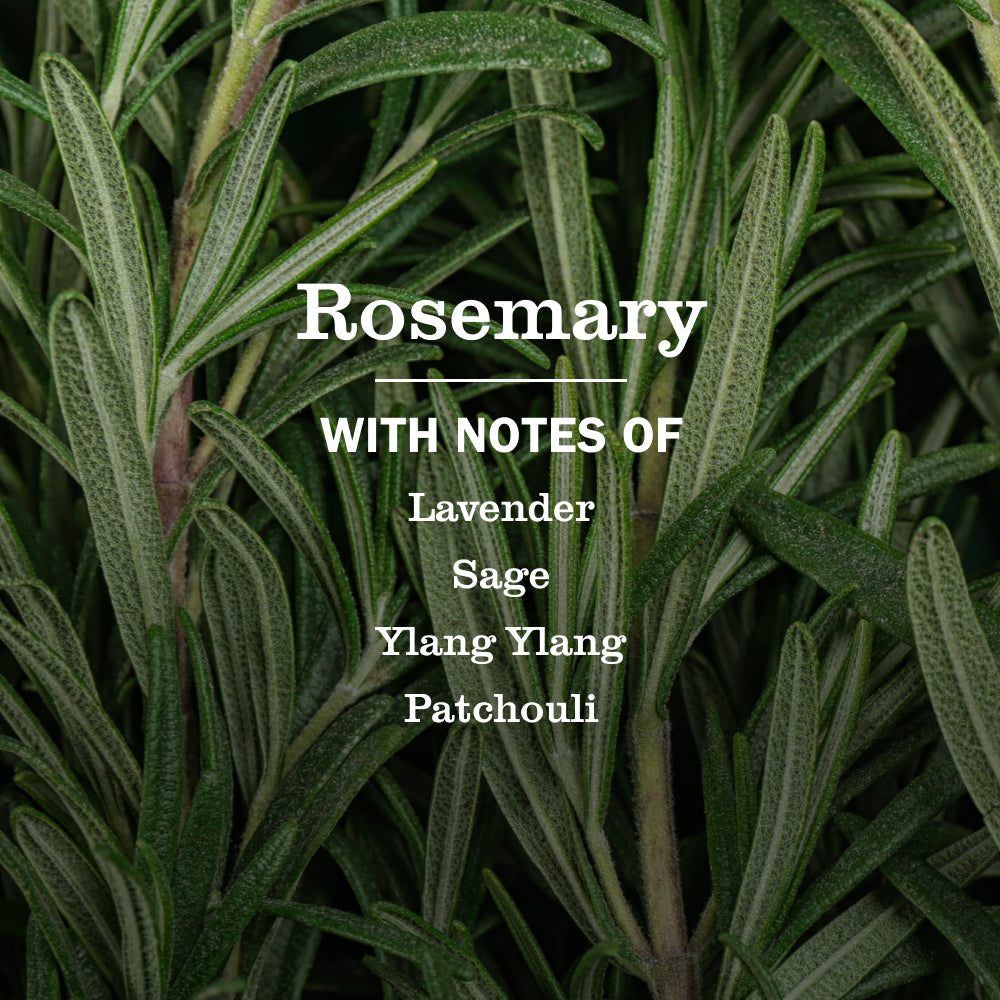 Rosemary Liquid Hand Soap - Gentle Clean
